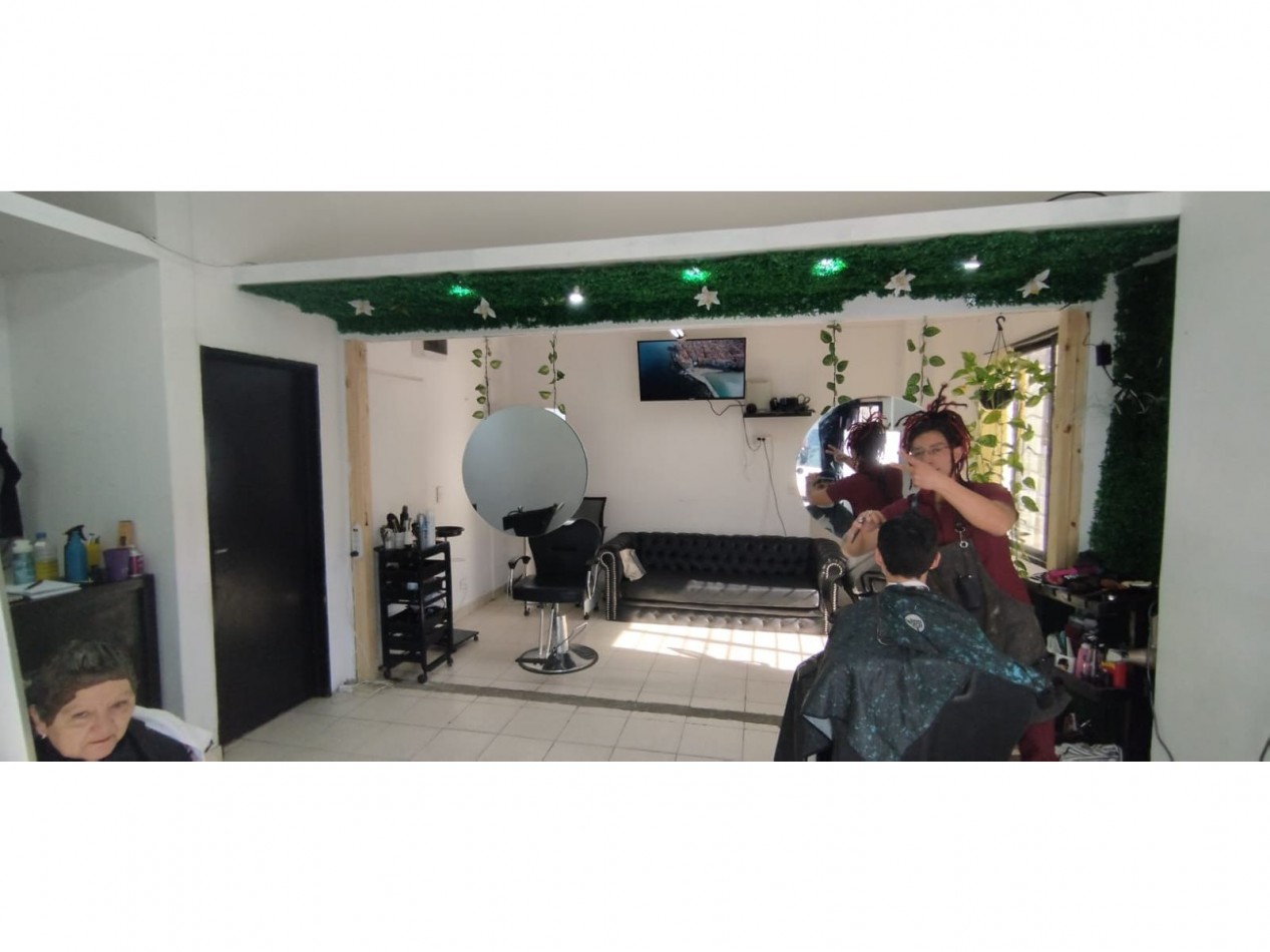 CABALLITO NORTE, LOCAL COMERCIAL CON RENTA Y DOS PH EN BLOCK 